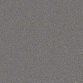 Texture Andiron Gray Carpet