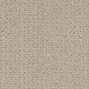 Pattern Nautilus Beige/Tan Carpet