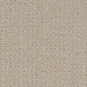 Pattern Nautilus Beige/Tan Carpet