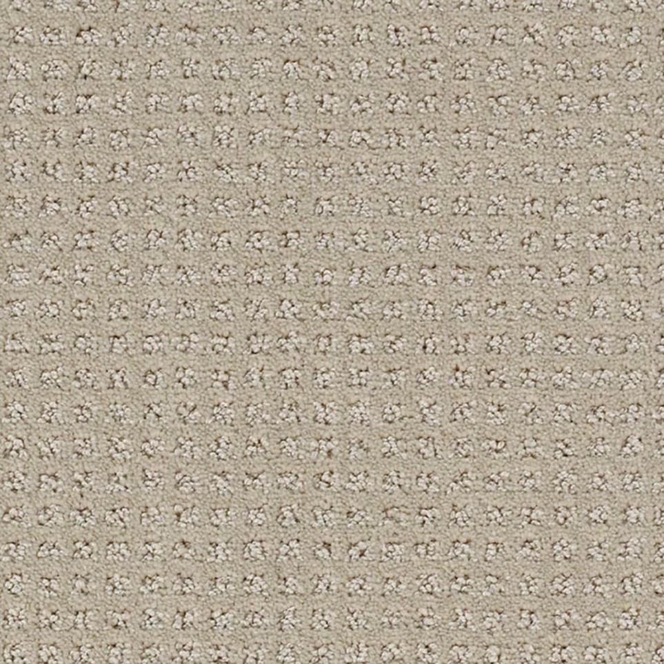 Pattern Nautilus Beige/Tan Carpet