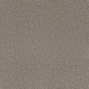 Textured Saxony Breathless Beige/Tan Carpet