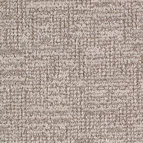 Pattern Brushed Nickel Gray Carpet