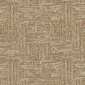 Pattern Paradise Beige/Tan Carpet