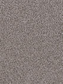 Textured Saxony Generosity Beige/Tan Carpet