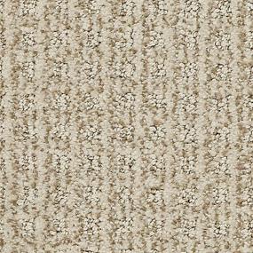 Pattern Desert Sand Beige/Tan Carpet