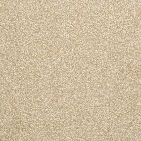 Casual Texture Cameo Beige/Tan Carpet