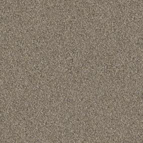 Casual Texture Camelback Beige/Tan Carpet