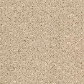 Pattern Texture Beige/Tan Carpet