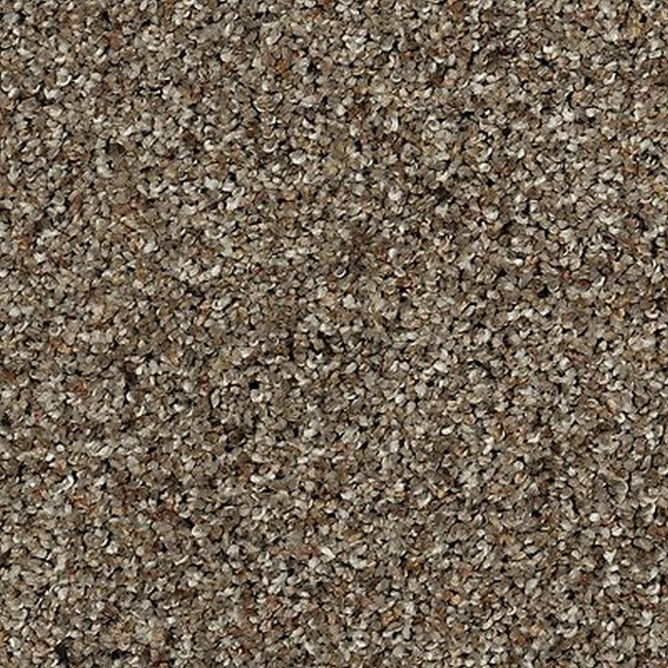 Textured Saxony Aged Walnut Brown Carpet