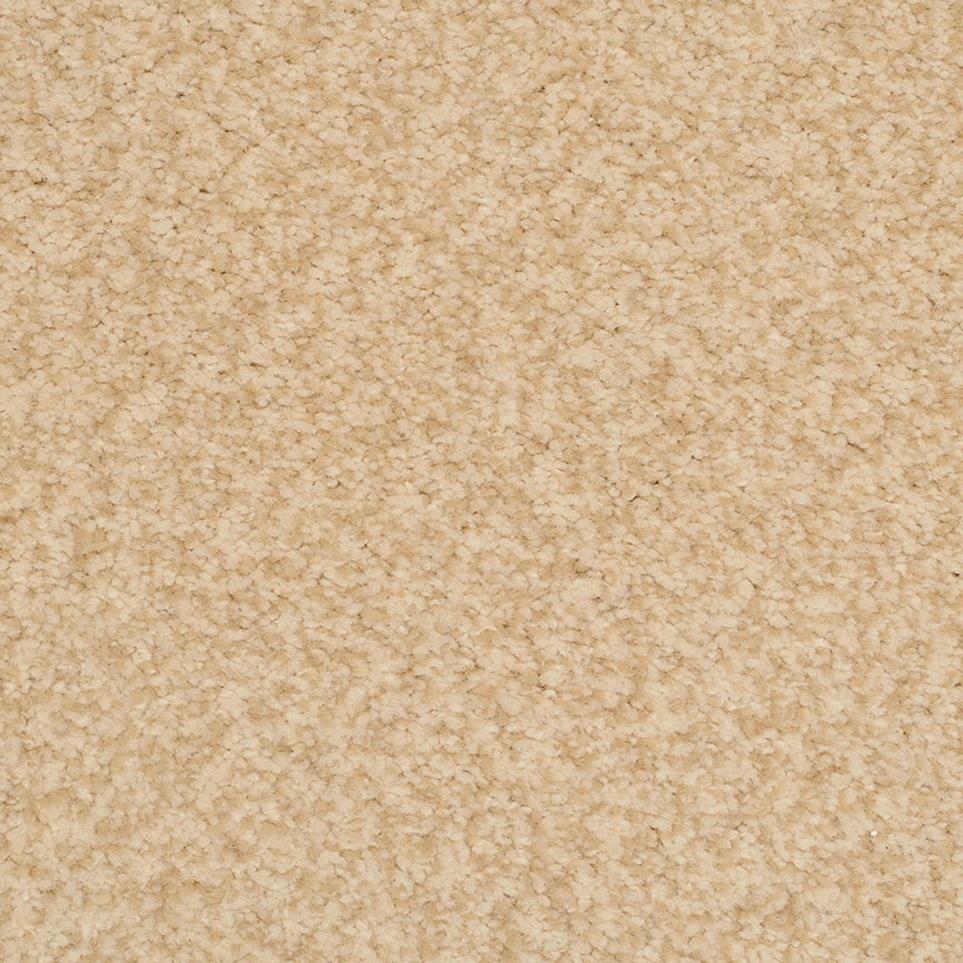 Frieze Birch Beige/Tan Carpet