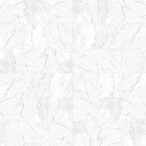 Mosaic Carrara White White Tile