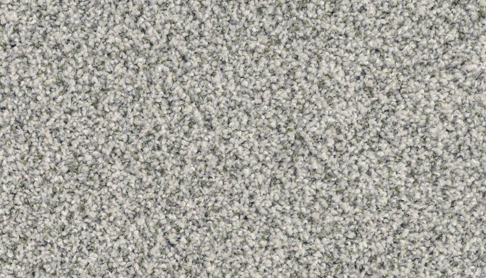 Textured Saxony Exhibit Gray Carpet