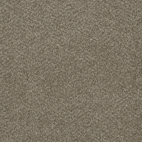 Textured Saxony Spectrum Brown Carpet
