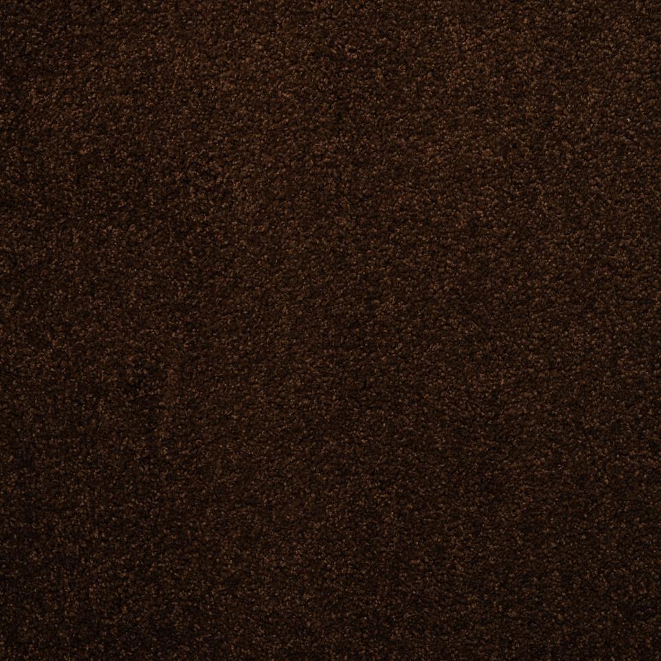 Frieze Endive Brown Carpet