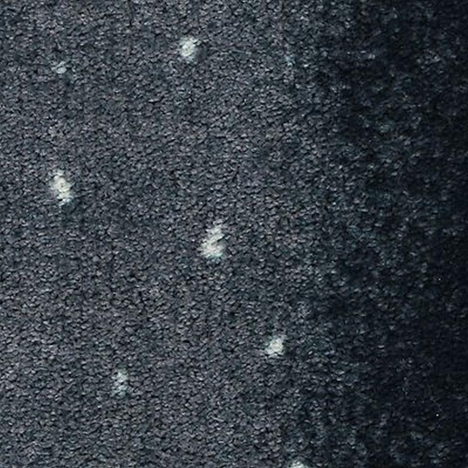 Pattern Navy Antelope Blue Carpet