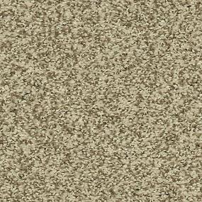 Textured Saxony Mountain Ledge Brown Carpet