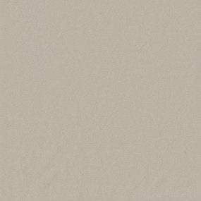 Textured Saxony Earthen Beige/Tan Carpet
