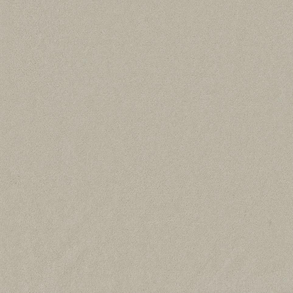 Textured Saxony Earthen Beige/Tan Carpet