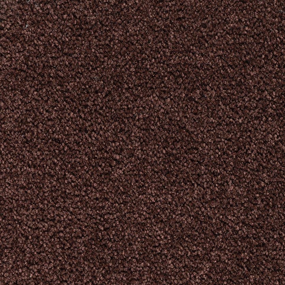 Textured Saxony DIRT ROAD Brown Carpet