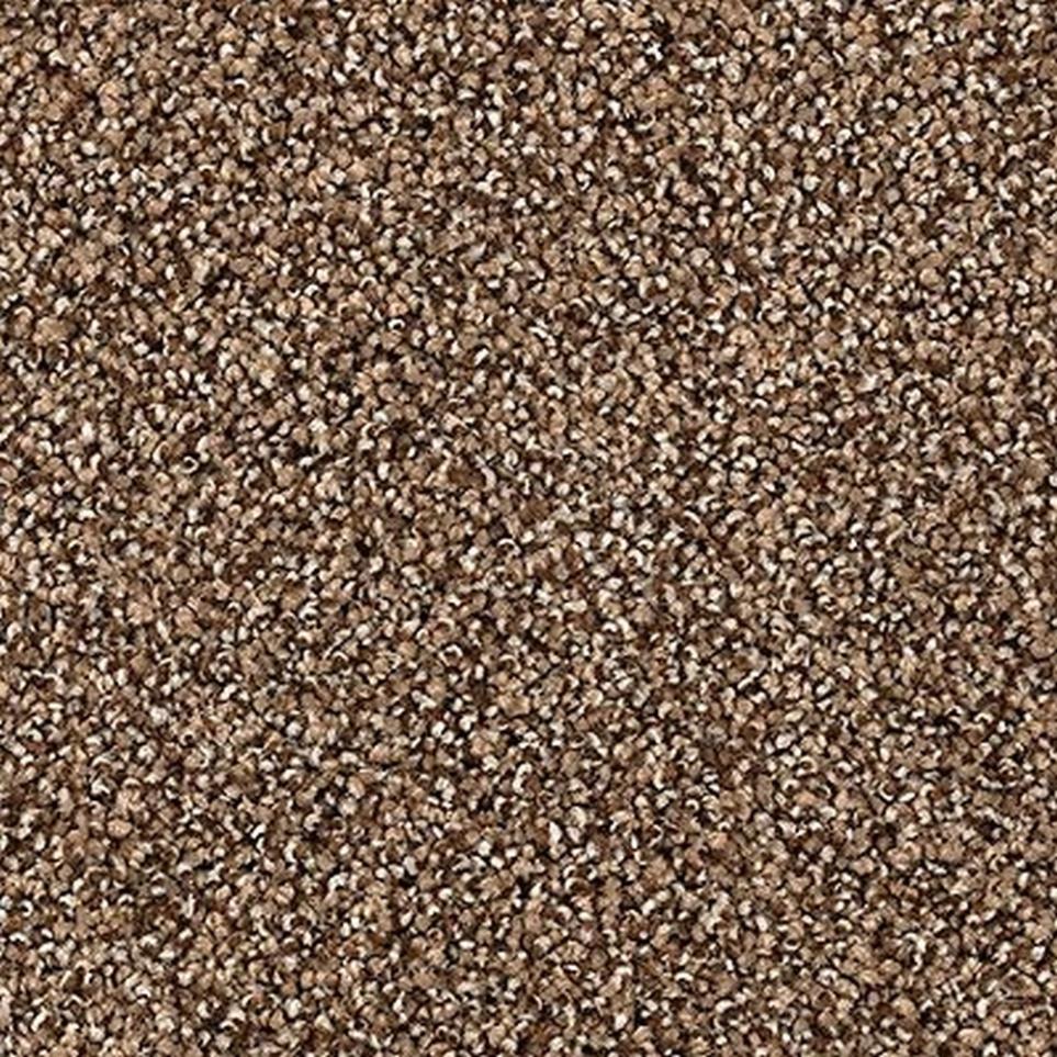 Textured Saxony Sequoia Brown Carpet