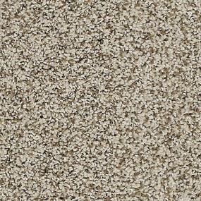 Textured Saxony Cashmere Sweater Beige/Tan Carpet