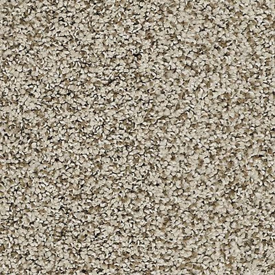 Textured Saxony Cashmere Sweater Beige/Tan Carpet