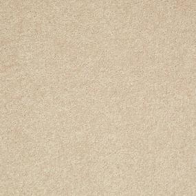 Textured Saxony Cement Mix  Carpet