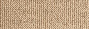 Loop Beige Beige/Tan Carpet