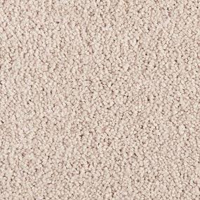 Texture Morning Glow Beige/Tan Carpet
