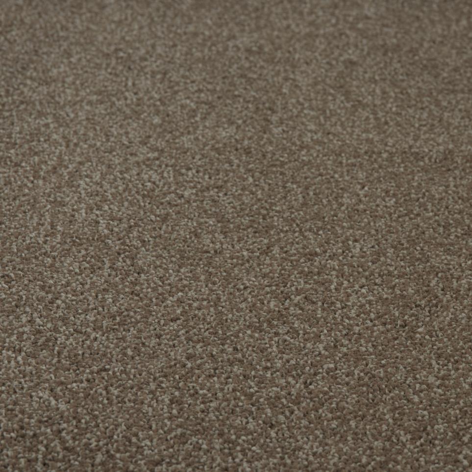 Textured Saxony Weathered Timber Beige/Tan Carpet