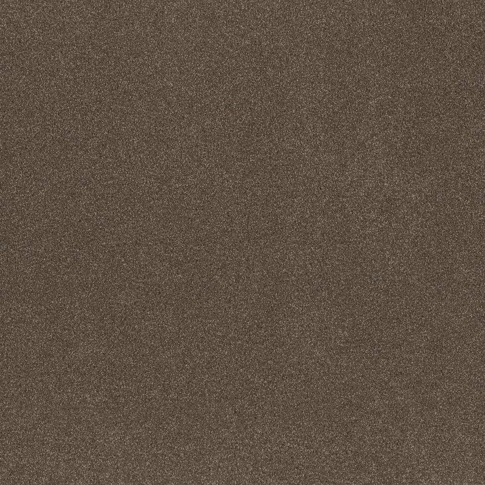 Textured Saxony Weathered Timber Beige/Tan Carpet