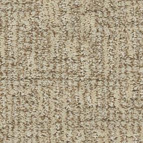 Pattern Desert Sand Beige/Tan Carpet