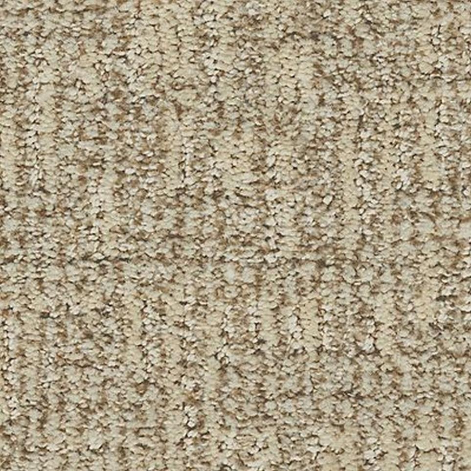Pattern Desert Sand Beige/Tan Carpet