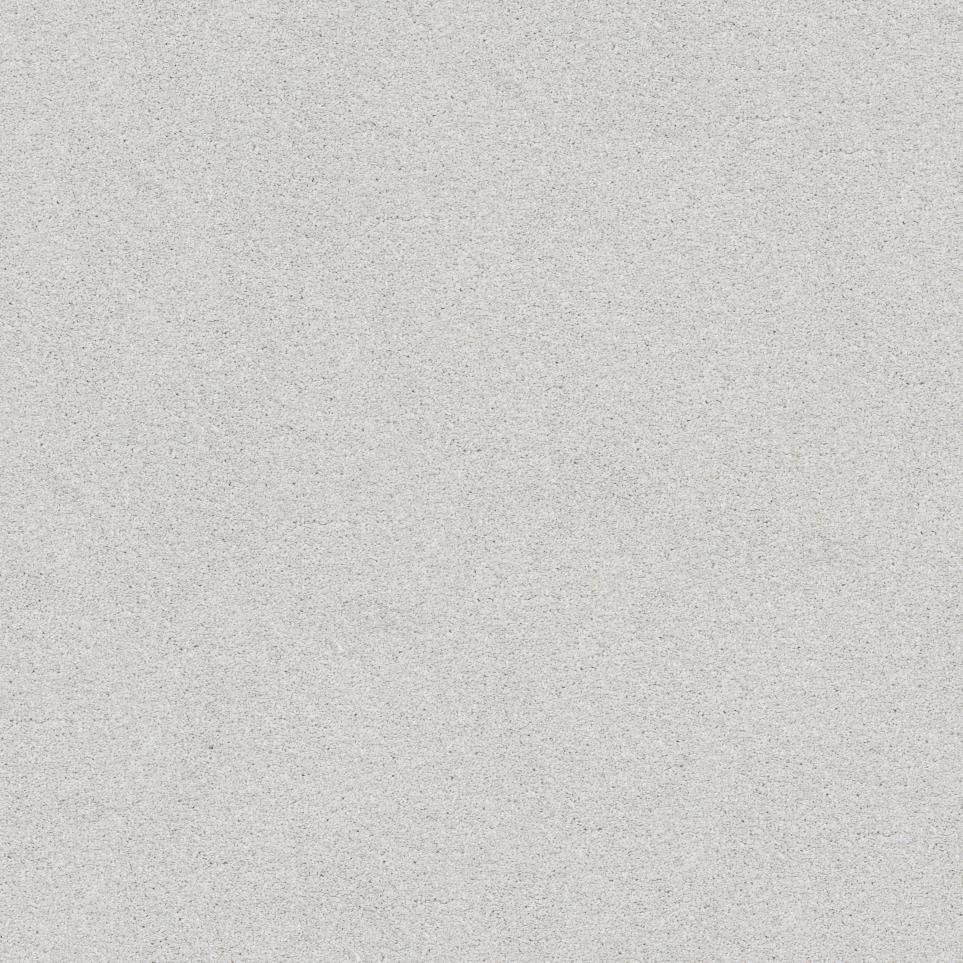 Textured Saxony Lace Beige/Tan Carpet