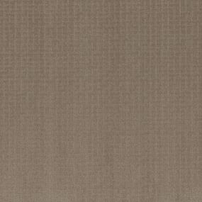 Pattern Sienna Clay Beige/Tan Carpet