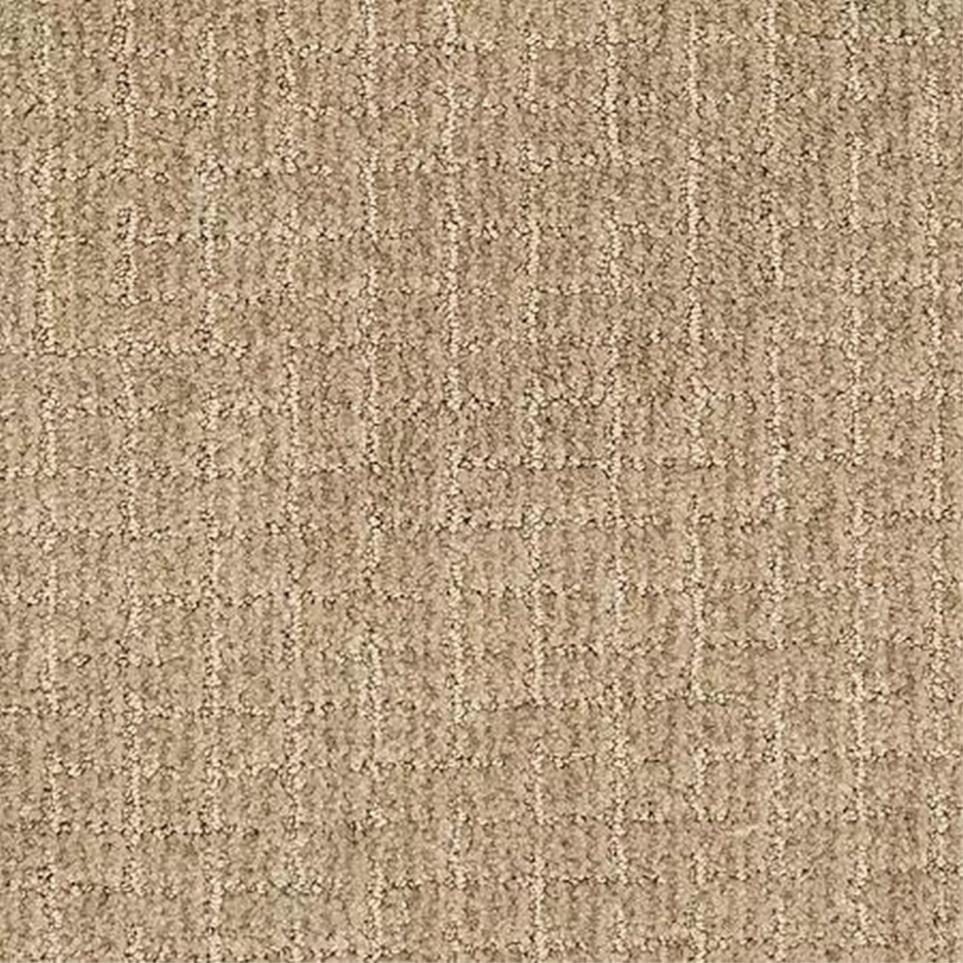 Pattern Sienna Clay Beige/Tan Carpet