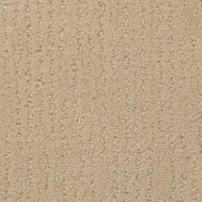 Pattern Fallow Beige/Tan Carpet