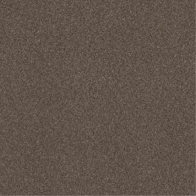 Casual Texture Boardwalk Brown Carpet