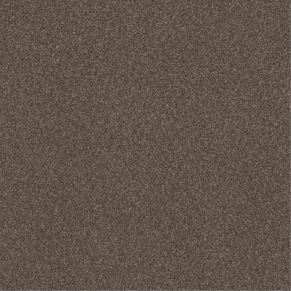 Casual Texture Boardwalk Brown Carpet