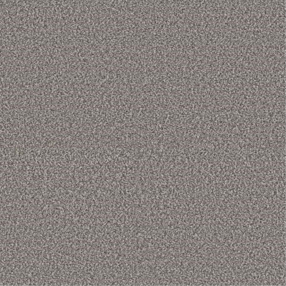Plush Saxony Anchor Down Beige/Tan Carpet