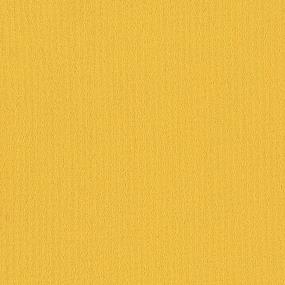 Forsythia