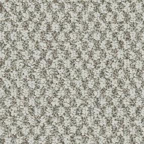 Pattern Silhouette Gray Carpet