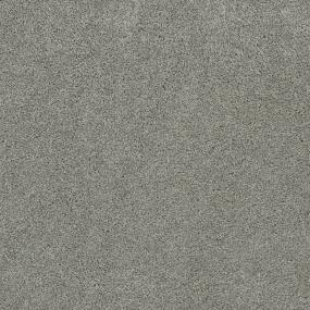 Textured Saxony Garden View Gray Carpet