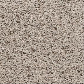 Texture Kona Beige/Tan Carpet