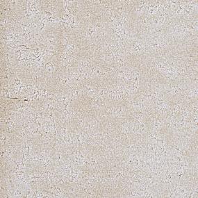Pattern Chestnut Beige/Tan Carpet