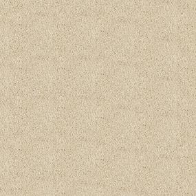 Textured Saxony Oatmeal Beige/Tan Carpet