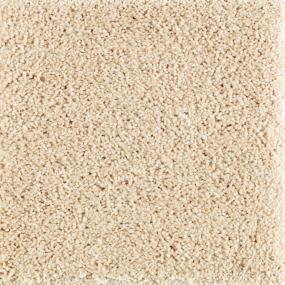 Textured Saxony Oatmeal Beige/Tan Carpet