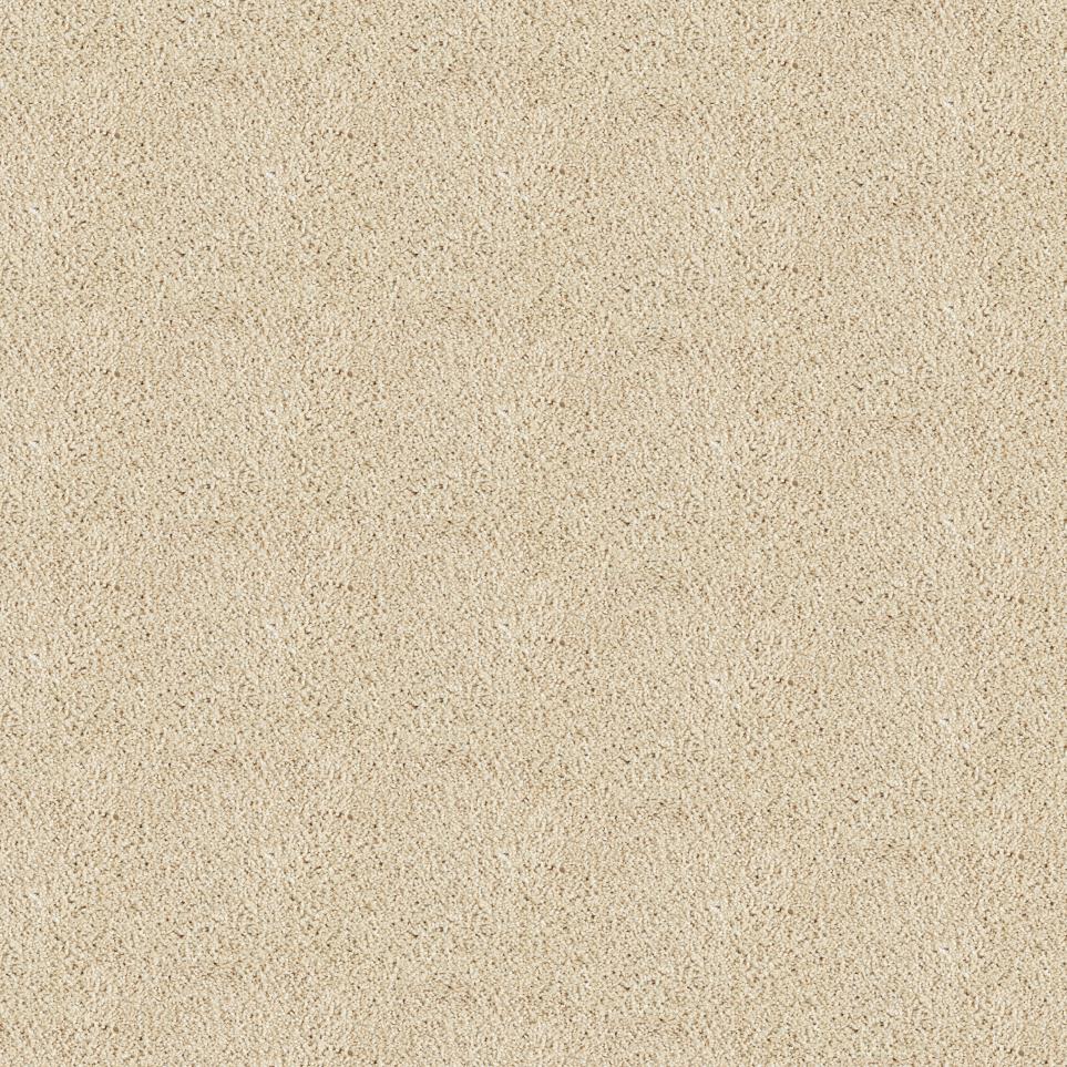 Texture Oatmeal Beige/Tan Carpet