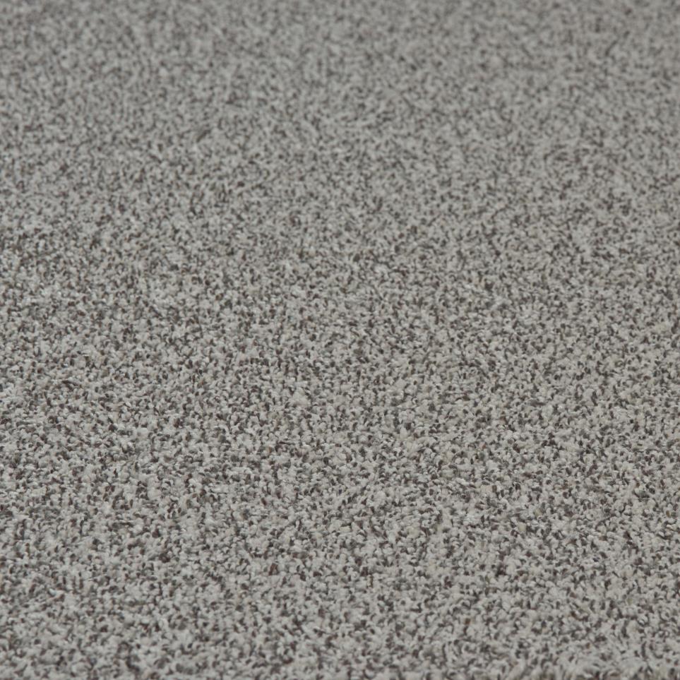 Textured Saxony Earthenware Gray Carpet