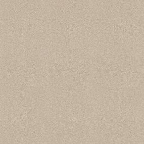 Plush Saxony Warm Tan Beige/Tan Carpet